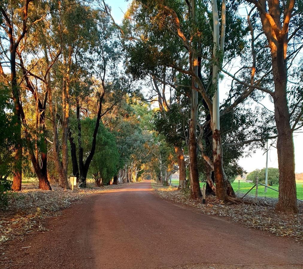 Bussells Bushland Cottages Margaret River Esterno foto