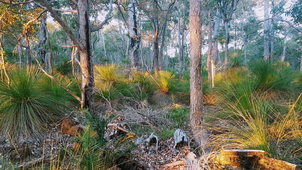 Bussells Bushland Cottages Margaret River Esterno foto