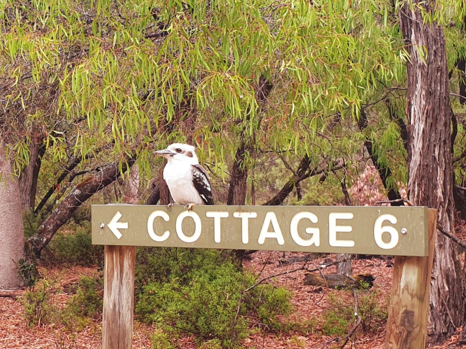 Bussells Bushland Cottages Margaret River Esterno foto
