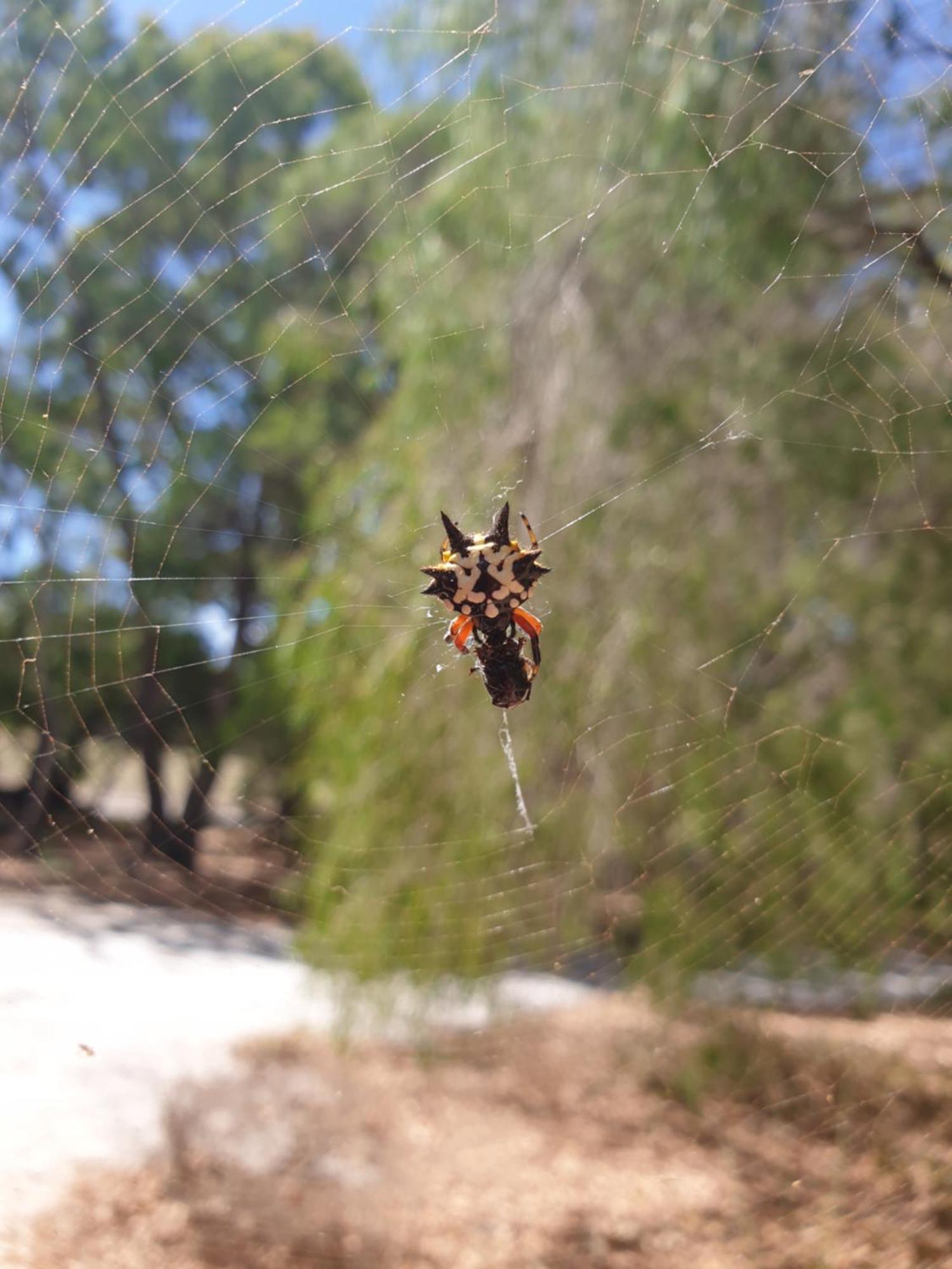 Bussells Bushland Cottages Margaret River Esterno foto
