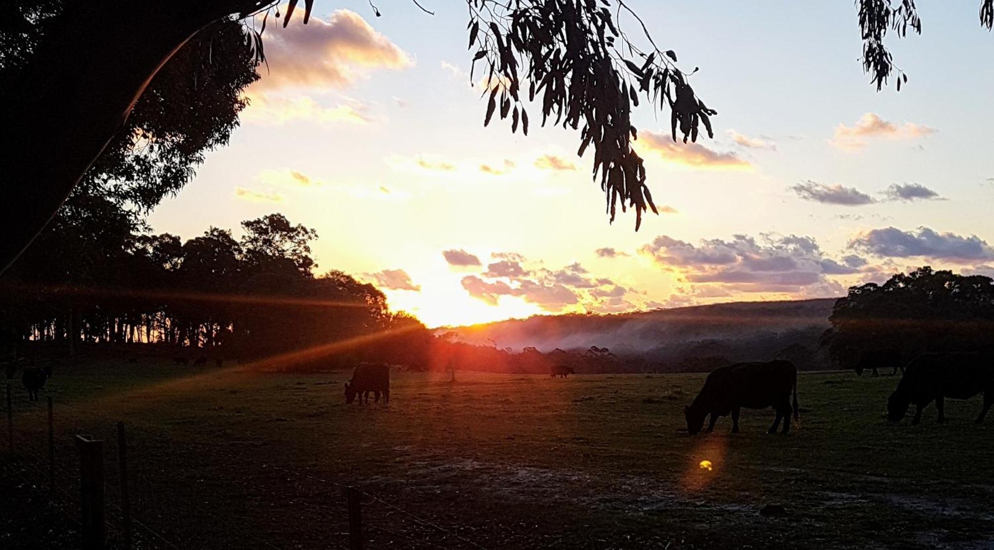 Bussells Bushland Cottages Margaret River Esterno foto